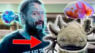 HUGE AXOLOTLS! AMAZING OSCARS! Tropical Fish Unboxing