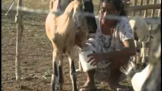Colombia: Wayuu women's gold-water