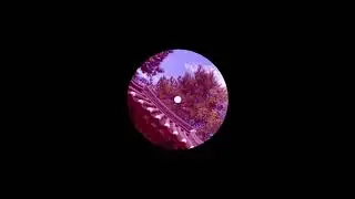 Mark Laird - Huis