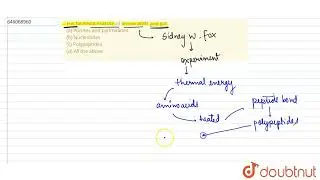 Fox heated a mixture of amino acids and got(a) Purines and pyrimidines \n\n(b) Nucleotides \n\n(...