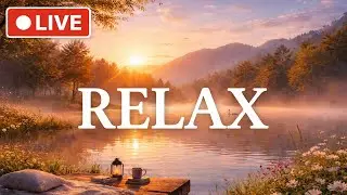 🌞 Stress Relief Brain Massage 🌞