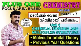 +1 Focus Area l Molecular Orbital Theory l Unit 4 Chemical Bonding