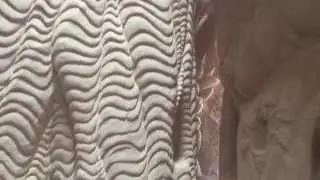 Ra Paulette Cave - The Tree Of Life