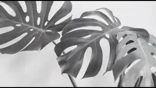 Liv tech plant grey wallpaper 