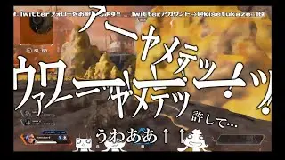 【APEX】恐怖のあまり全てをまき散らして命乞いをする男【配信切り抜き】