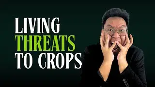 Biotic Factors Affecting Crop Production | FREE Agriculturist Licensure Review