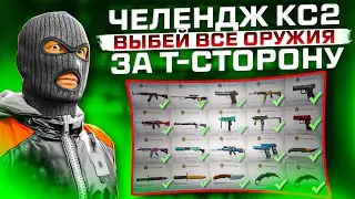 Я ВЫБИЛ ВСЕ ВАРИАНТЫ ОРУЖИЯ за Т-СТОРОНУ КС2 ! ЧЕЛЕНДЖ от ПОДПИСЧИКА CS2 UPGRADER /не кейс батл