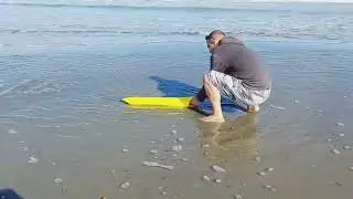 FISH  SEEKER Caught a Pregnant  SHARK😲 #shorts #fishing #fishingvideo # fishseeker