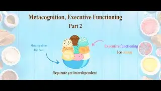 Meta cognition and executive functioning- Part 2