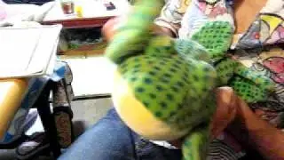 gekogeko