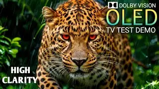 Incredible Beauty🌿 Of Nature In High Clarity | Best For TV&rsquo;s