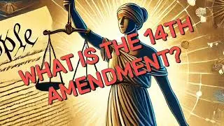 What is the 14th Amendment?