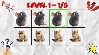 Say The Word On Beat Numbers Challenge 17 | EASY MEDIUM HARD | Fast Rhythm Test | BRAINROT