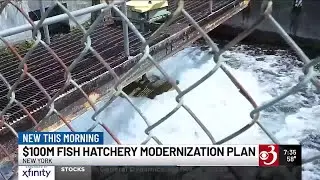 $100 million fish hatchery modernization plan launched in New York