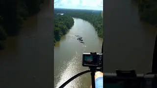 A big snake in the Amazon river #snakes #amazon #news  #viralvideo #viralshorts #fyp #facts