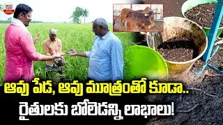 Cows bring many benefits to farmers- ABN Agri#shotsfeed