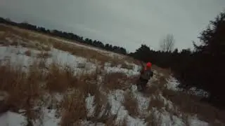 Pheasant Hunting 1 7 2018 Bryan hits a tough bird