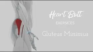 Isolate the Glute Minimus - Heart Shaped Butt Exercises Series