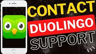 How to Contact Duolingo Support from the App
