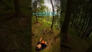 FOREST THERAPY #shortvideo #fypシ #follow #nature #hike #youtubeshorts #hiking #shorts