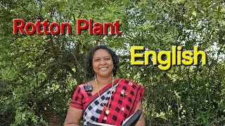 Rotton #Plant #அழுகிய #செடி #Rotton #English #Story #MoralStory #StoryTime #Perinbam #SofiaRachel