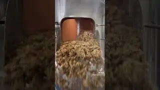 HOW IT WORKS - Mash out at the new house | Craft Brewery #shorts #brewery #craft #grain #bottling