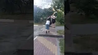29 июля 2024 г.