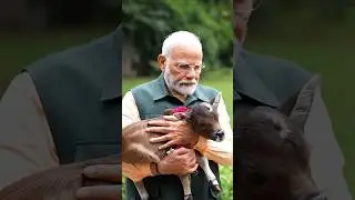 PM Modi welcomes &lsquo;Deepjyoti&rsquo;, a new member in the family at 7 Lok Kalyan Marg | #shorts