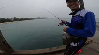 Tarikan Padu Si Kecil!
