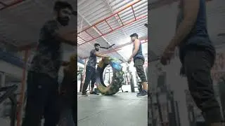 Gym workout || whole body workout #battleroyale #backtogym