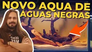 🔴MONTEI UM AQUÁRIO BLACK WATER |Mr. Betta|