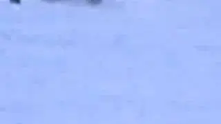 Bruno's Ski-Crasch