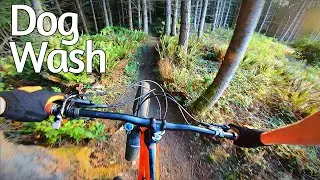 Dog Wash - Tokul MTB