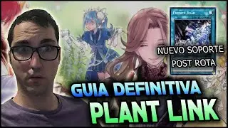 GUIA DEFINITIVA RIKKA SUNAVALON DECK PROFILE Y COMBOS YUGIOH 2024 FT @jmatcg