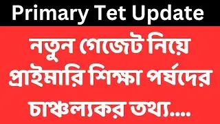 Primary Tet update news today l primary Tet not included latest news today l primary new gadget 2022