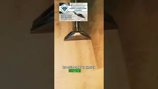 Carpet Cleaning Dublin #satisfy #reels #story