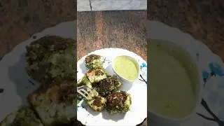 Paneer Thecha Recipe | Spicy Indian Paneer Dish | Easy Recipe #paneer #recipe #paneerthecha #cooking
