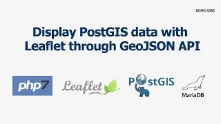 Display PostGIS data with Leaflet through GeoJSON API