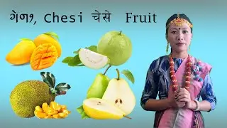 🍍🍎🍓🍇 Fruits in Limbu Language , Limbu Language Learning