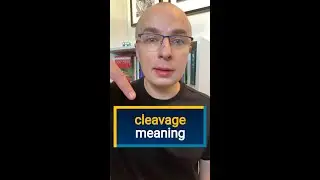 CLEAVAGE meaning | What does 