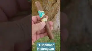 H.Uppmann Nicaraguan by AJ Fernandez Toro #cigars #cigarlife #huppmann #ajfernandez
