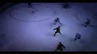 Boston Bruins 2007-2008 NHL Hockey Season Flashback