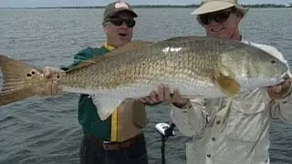FOX Sports Outdoors Anchor Barry Stokes Catches Giant Florida Redfish in 2001 Outdoor Trails Clip