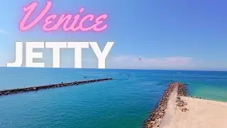 Поймайте больше рыбы на причале Венеции🎣🌊