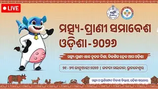 🔴Mohan Majhi Live : ମତ୍ସ୍ୟ ପ୍ରାଣୀ ସମାବେଶ ଉଦ୍ଘାଟନୀ ସମାରହୋ....| Matsya Pranee Samavesh Odisha