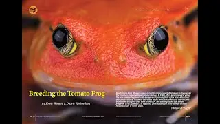 RH Journal issue #24