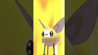 The Adorableness That Is Cutiefly!