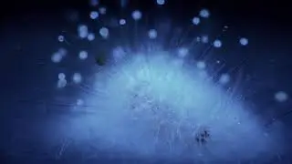 Speech Act Theory - Grief Wave (Official Music Video)