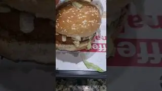 burger review #food #bug #burger #trendingshorts #shorts 🫠