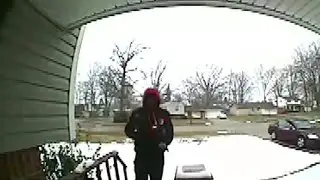 Surveillance video shows package thief in Southfield